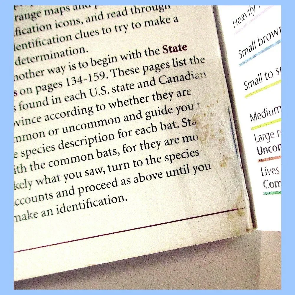 Book: Stokes Beginner's Guide to Bats -- a pocket-sized field guide - Picture 14 of 16